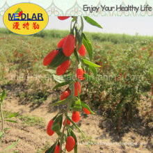 Medlar Organic Food Goji Lycium Seco